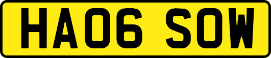 HA06SOW