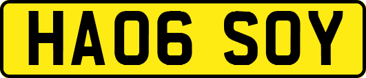 HA06SOY