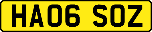 HA06SOZ