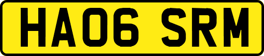 HA06SRM