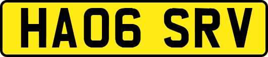 HA06SRV