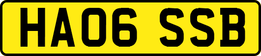 HA06SSB