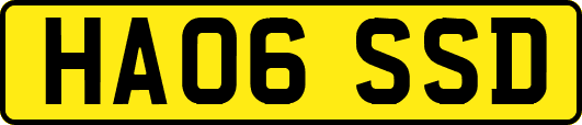 HA06SSD