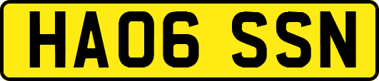 HA06SSN