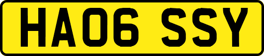 HA06SSY