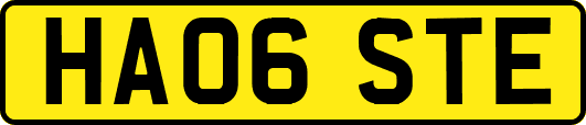 HA06STE