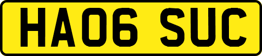 HA06SUC