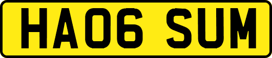 HA06SUM