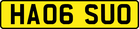 HA06SUO