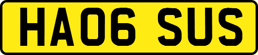 HA06SUS