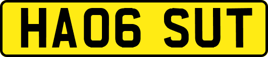 HA06SUT