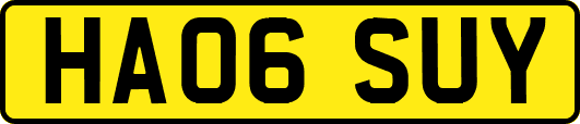 HA06SUY