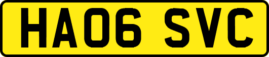 HA06SVC