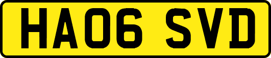 HA06SVD