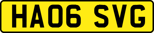 HA06SVG