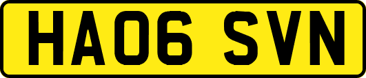 HA06SVN