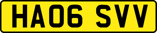 HA06SVV