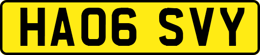 HA06SVY