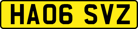 HA06SVZ