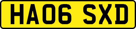 HA06SXD