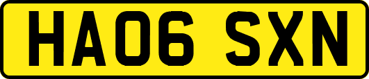 HA06SXN