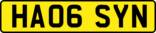 HA06SYN