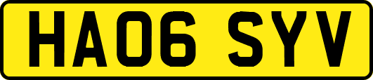 HA06SYV