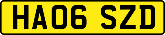 HA06SZD