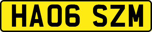 HA06SZM