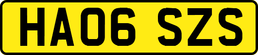 HA06SZS