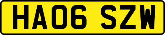 HA06SZW