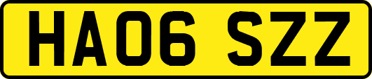 HA06SZZ