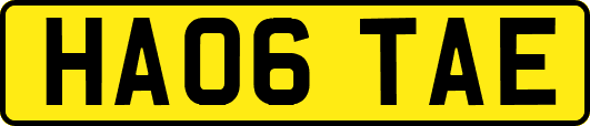 HA06TAE
