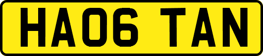 HA06TAN