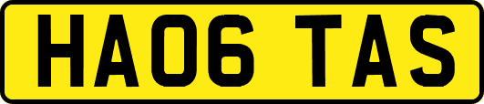 HA06TAS