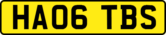HA06TBS