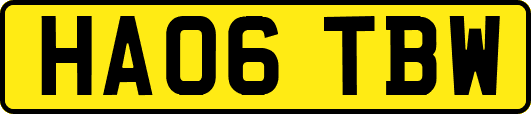 HA06TBW