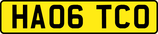 HA06TCO
