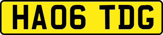 HA06TDG