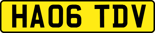 HA06TDV