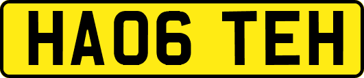 HA06TEH