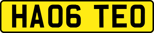 HA06TEO
