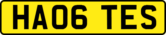 HA06TES