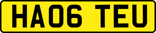 HA06TEU