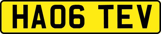 HA06TEV