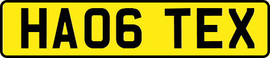 HA06TEX