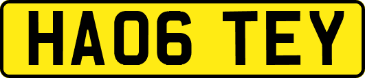 HA06TEY