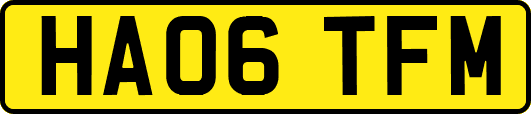 HA06TFM
