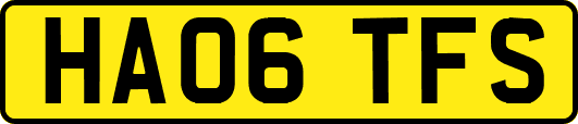 HA06TFS