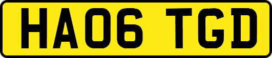 HA06TGD